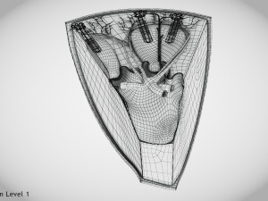 Kidney Section and Nephrons Modelo 3D