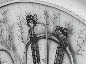 Kidney Section and Nephrons 3D Model