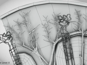 Kidney Section and Nephrons 3D Model