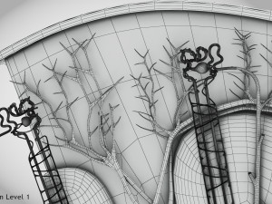 Kidney Section and Nephrons Modelo 3D