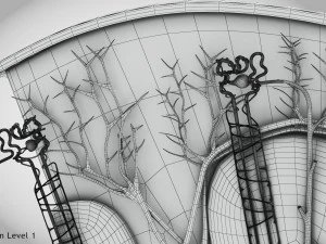 Kidney Section and Nephrons 3D Model