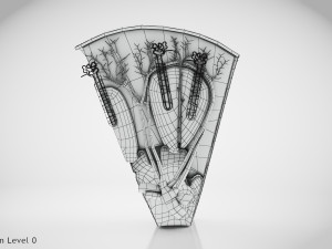 Kidney Section and Nephrons Modelo 3D