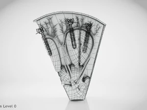 Kidney Section and Nephrons 3D Model