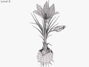 Plant Parts - Crocus Modello 3D