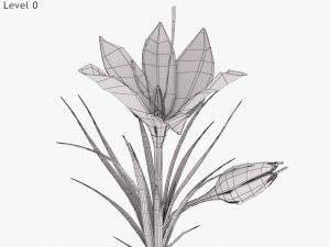 Plant Parts - Crocus Modello 3D