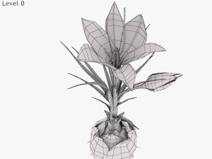 Plant Parts - Crocus Modello 3D