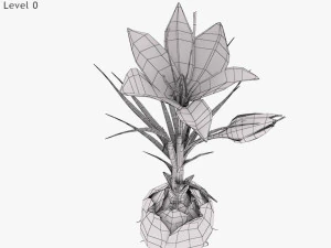 Plant Parts - Crocus 3D Model