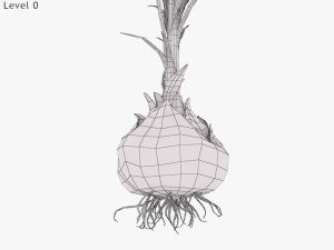 Plant Parts - Crocus Modello 3D