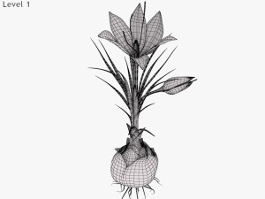 Plant Parts - Crocus Modello 3D