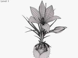 Plant Parts - Crocus Modello 3D