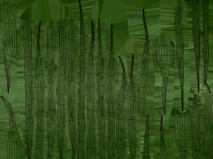Plant Parts - Crocus 3D Model