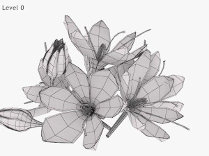 Plant Parts - Crocus 3D Model