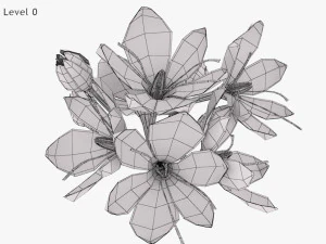 Plant Parts - Crocus 3D Model