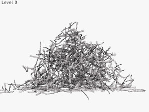 Plant Parts - Crocus Modello 3D
