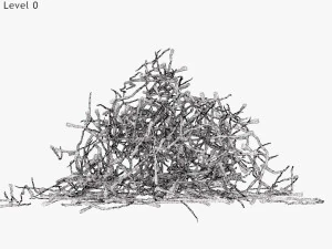 Plant Parts - Crocus 3D Model