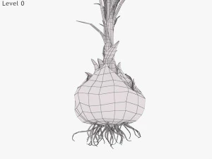 Plant Part Anatomy 3D Model