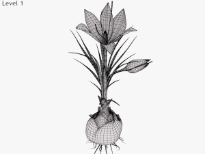 Plant Part Anatomy 3D Model