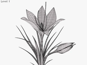 Plant Part Anatomy 3D Model