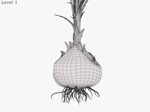 Plant Part Anatomy 3D-Modell