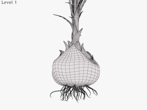 Plant Part Anatomy 3D Model