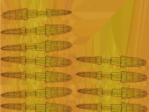 Plant Part Anatomy 3D Model