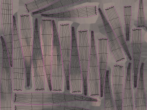 Plant Part Anatomy 3D-Modell