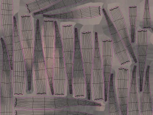 Plant Part Anatomy 3D Model