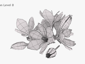 Crocus Blossom 3D Model