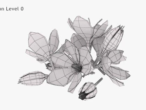 Crocus Blossom 3D Model