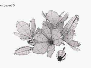 Crocus Blossom 3D Model