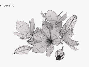 Crocus Blossom 3D Model