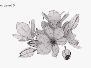 Crocus Blossom 3D Model