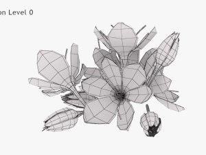 Crocus Blossom 3D Model