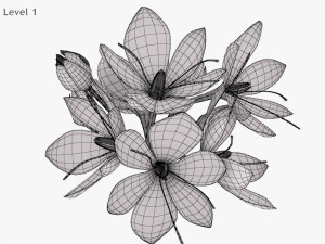 Crocus Blossom 3D Model