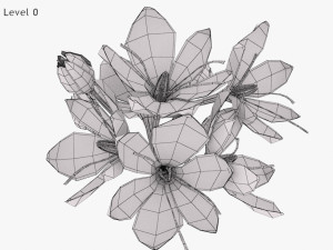 Crocus Blossom 3D Model