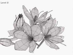 Crocus Blossom 3D Model