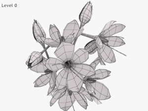 Crocus Blossom 3D Model