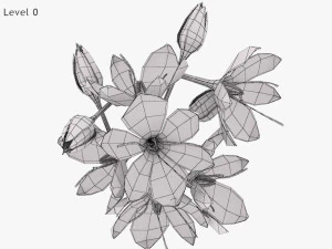 Crocus Blossom 3D Model
