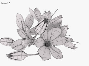 Crocus Blossom 3D Model
