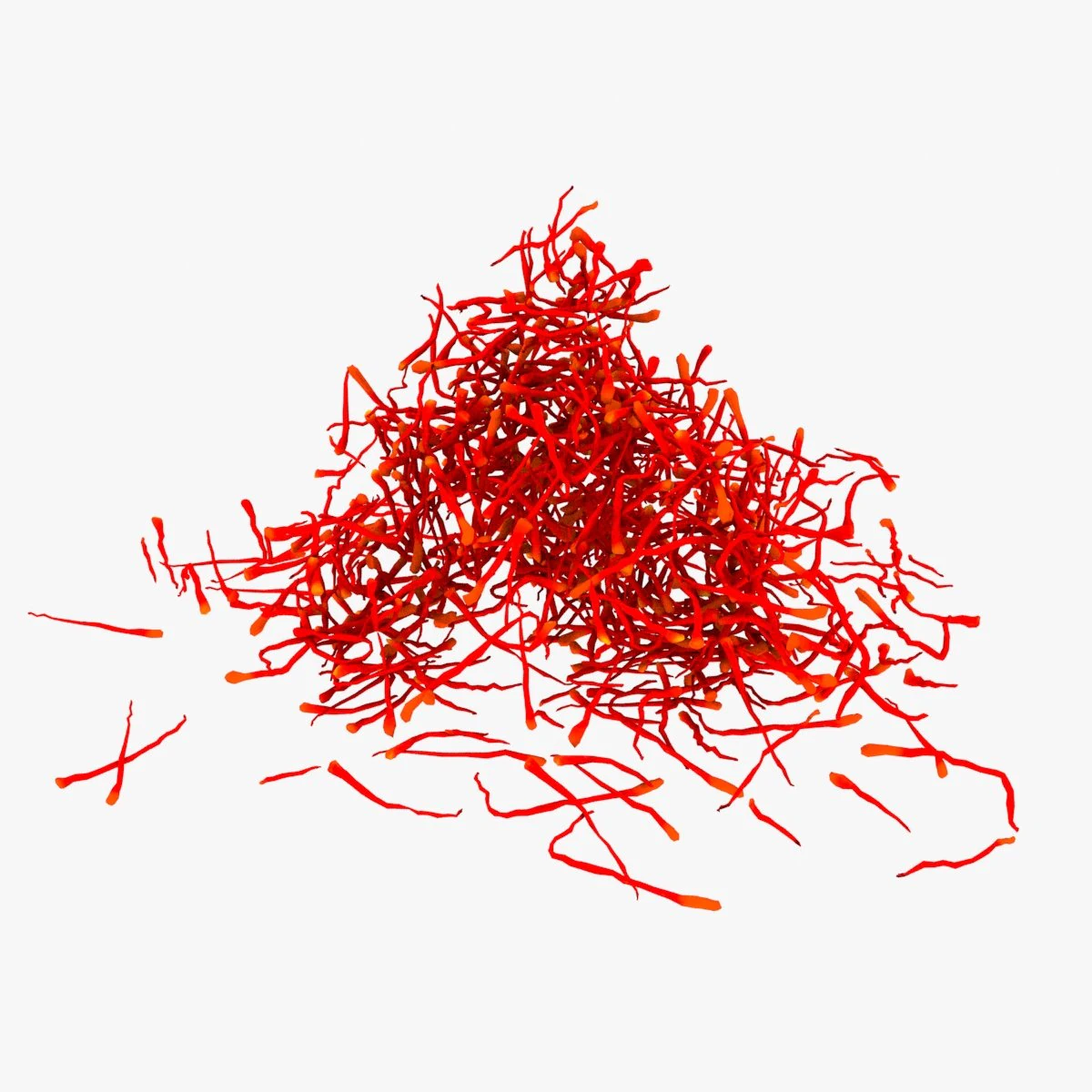 Saffron Stigma 3D Model .c4d .max .obj .3ds .fbx .stl .blend 