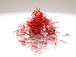Saffron Stigma Modelo 3D