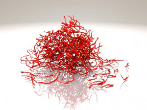 Saffron Stigma 3D Model