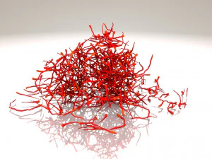 Saffron Stigma 3D Model
