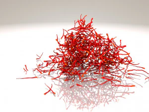 Saffron Stigma 3D Model