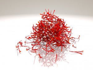 Saffron Stigma Modelo 3D