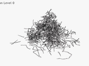 Saffron Stigma Modelo 3D