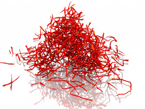 Saffron Stigma Modelo 3D