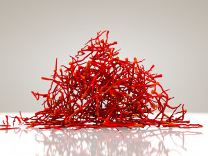 Saffron Stigma Modelo 3D