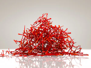 Saffron Stigma 3D Model