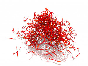 Saffron Stigma Modelo 3D